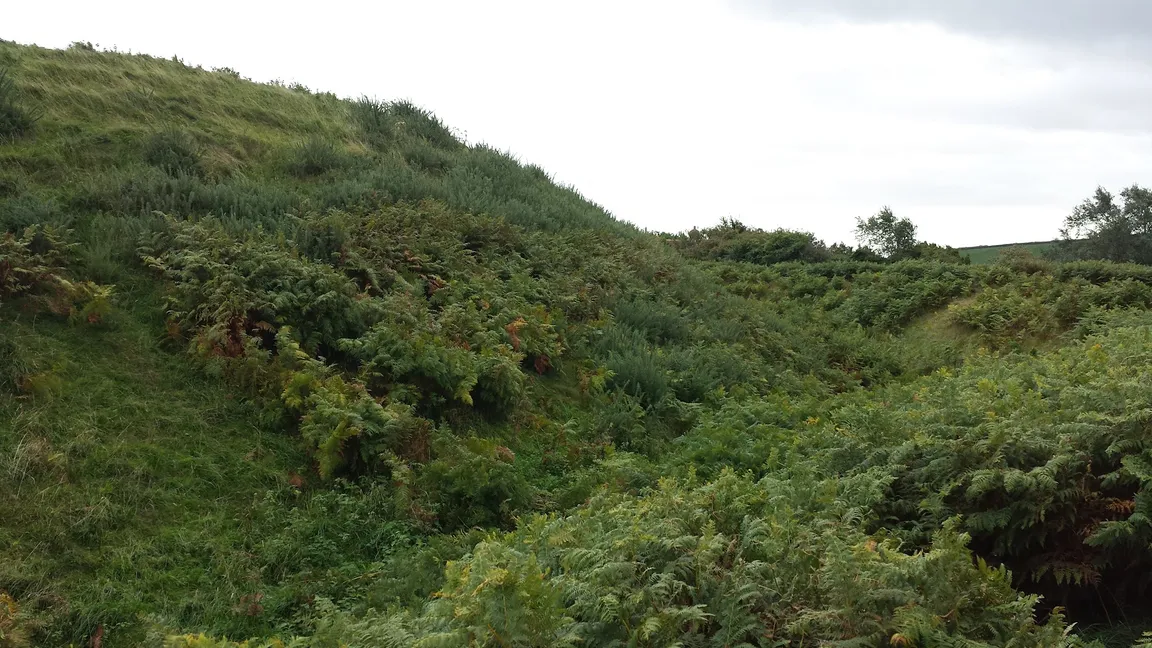Nether Stowey Castle