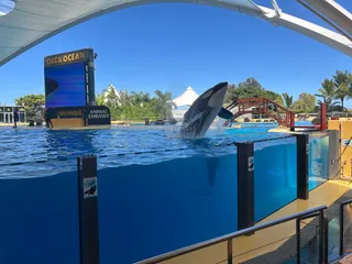 Loro Park