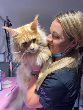 Lillu Pets Groomer Fryzjer dla psów/pielęgnacja zwierząt Kraków