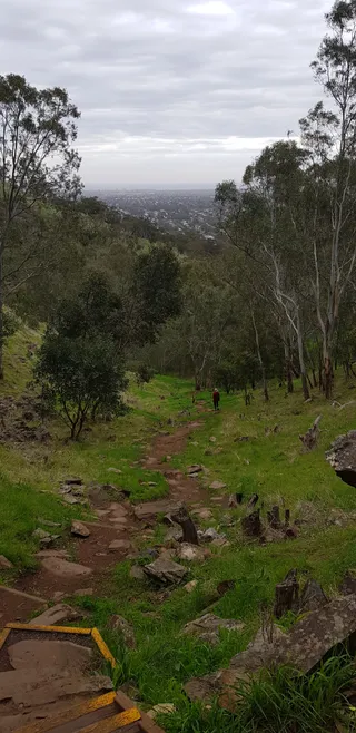 Waite Conservation Reserve