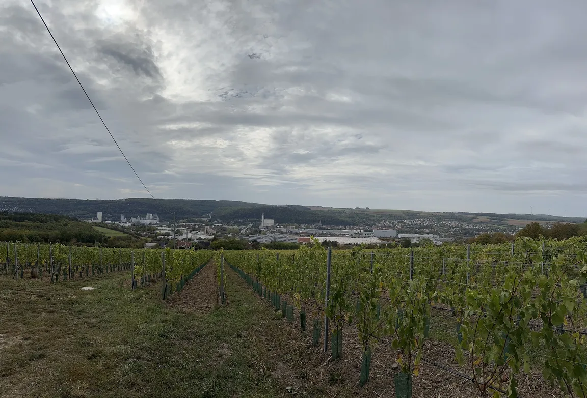 Aussichtspunkt auf Würzburg