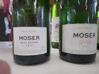 Moser Trento