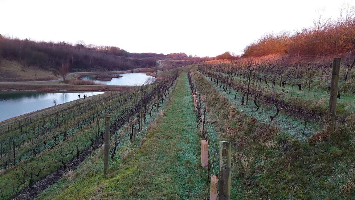 Hedeland Naturtrail
