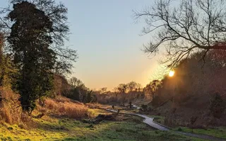 Lye Valley path