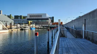 Newtown Creek Nature Walk