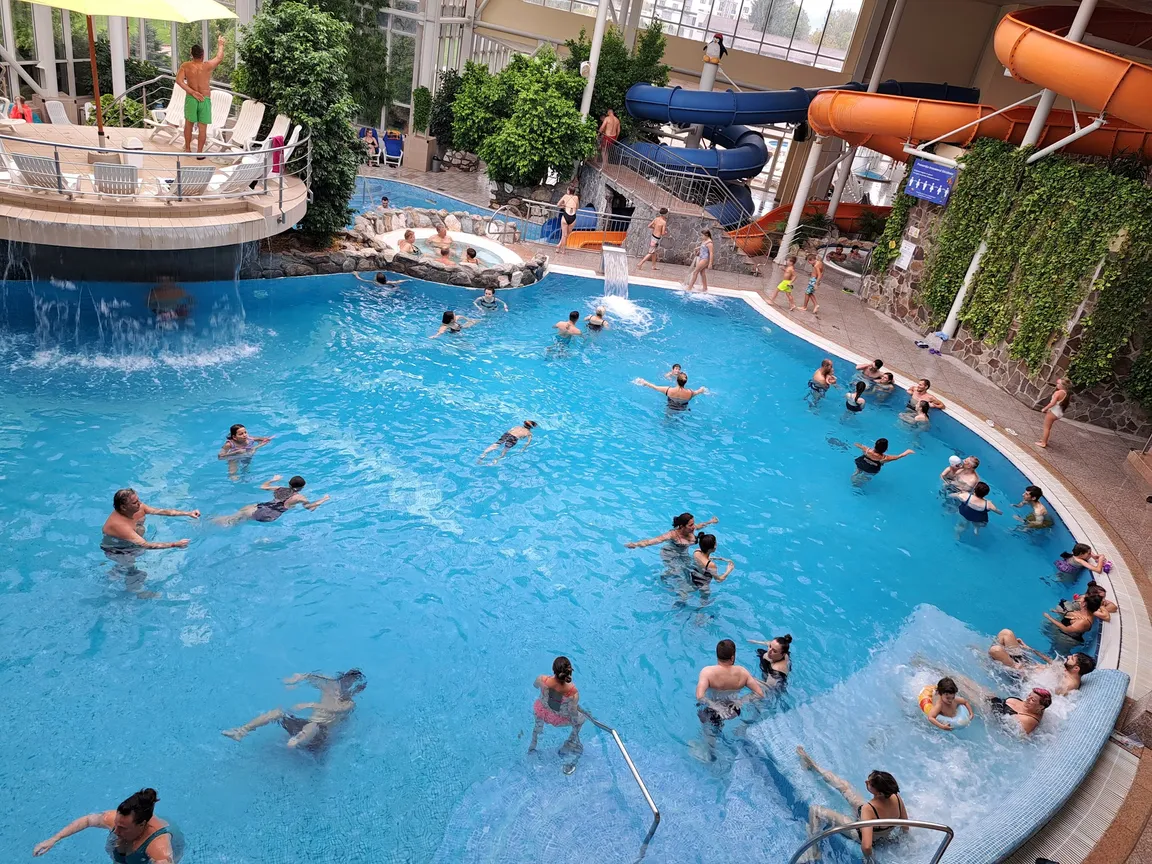 Aquatic Paradise