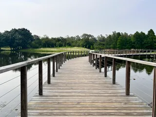Hong Kong Wetland Park