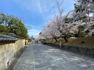 石塀小路 Nene no Michi