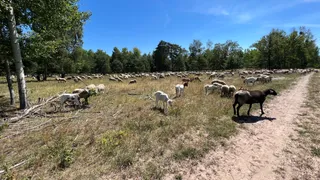 Sielmann Nature Park Döberitz Heath