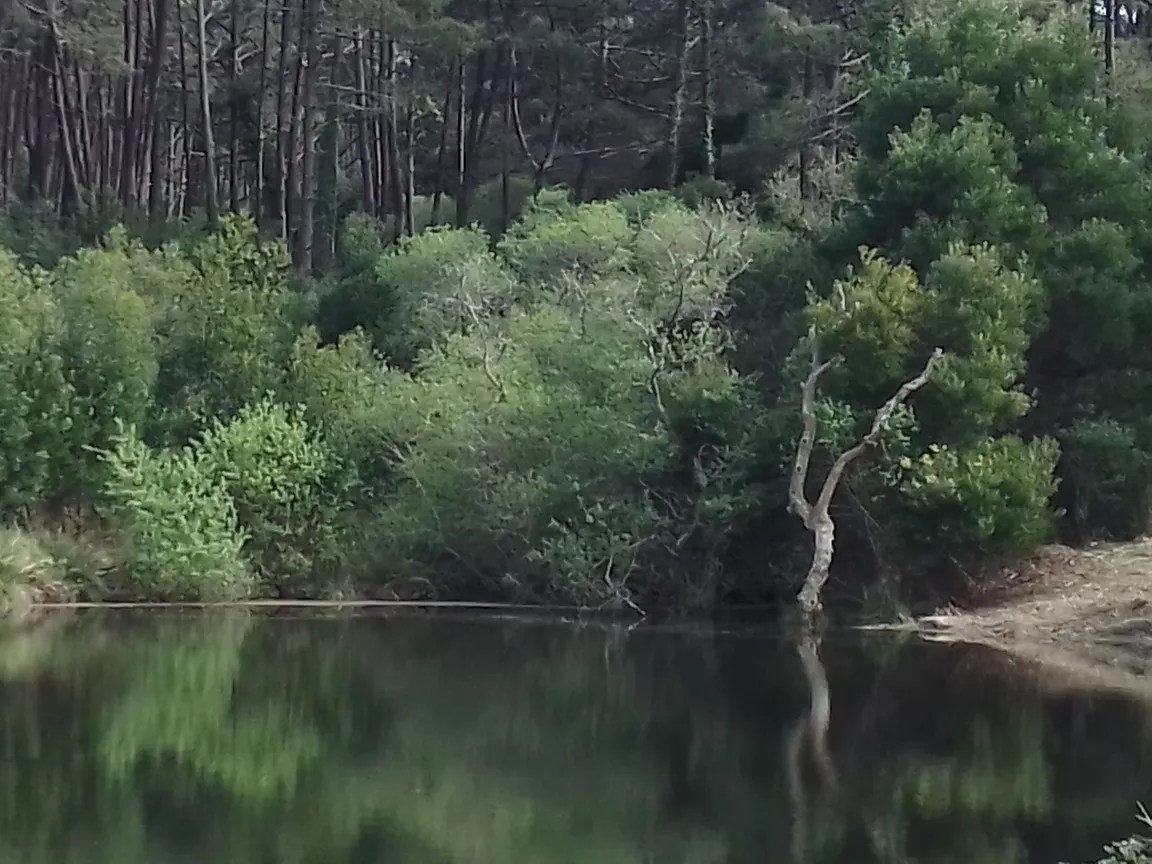 Lagoa dos Mosqueiros