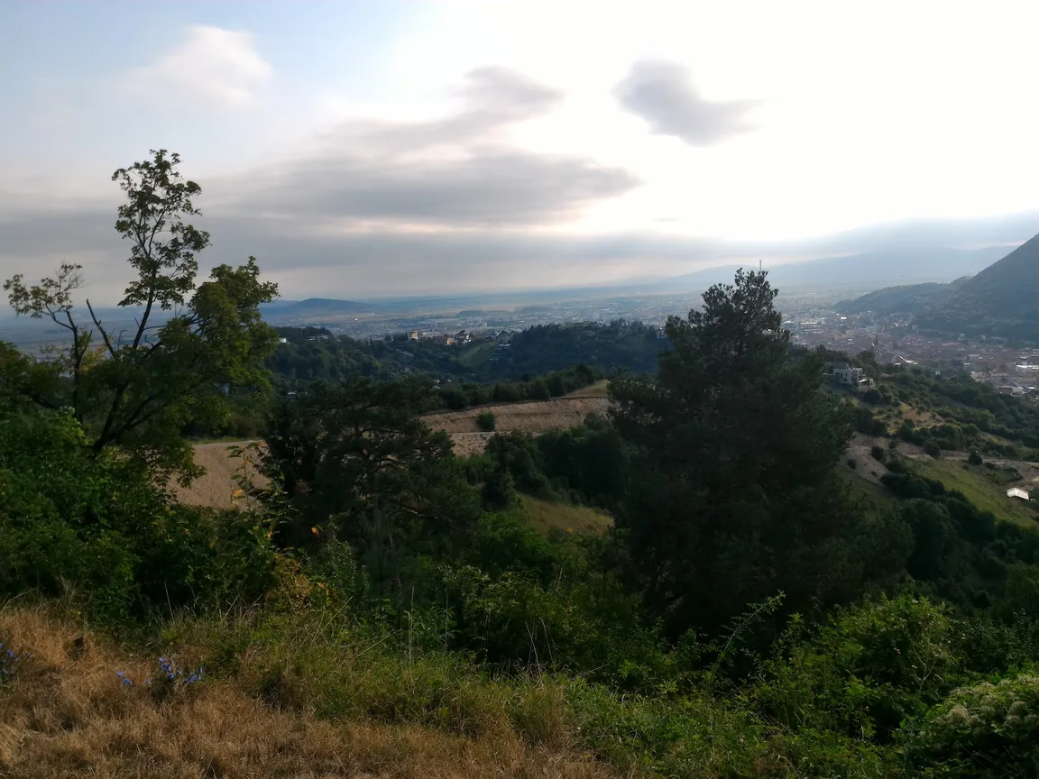 Belvedere