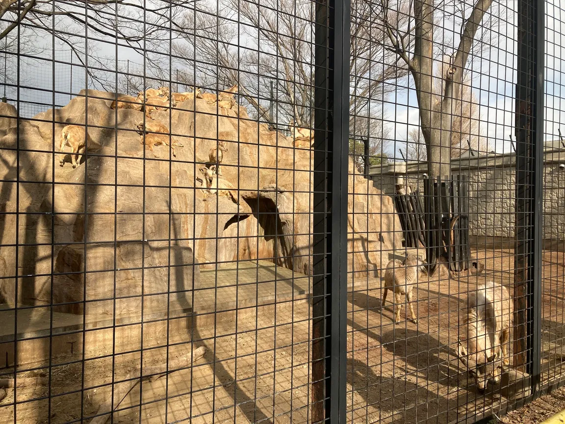 Yumemigasaki Zoological Park Children's Playground
