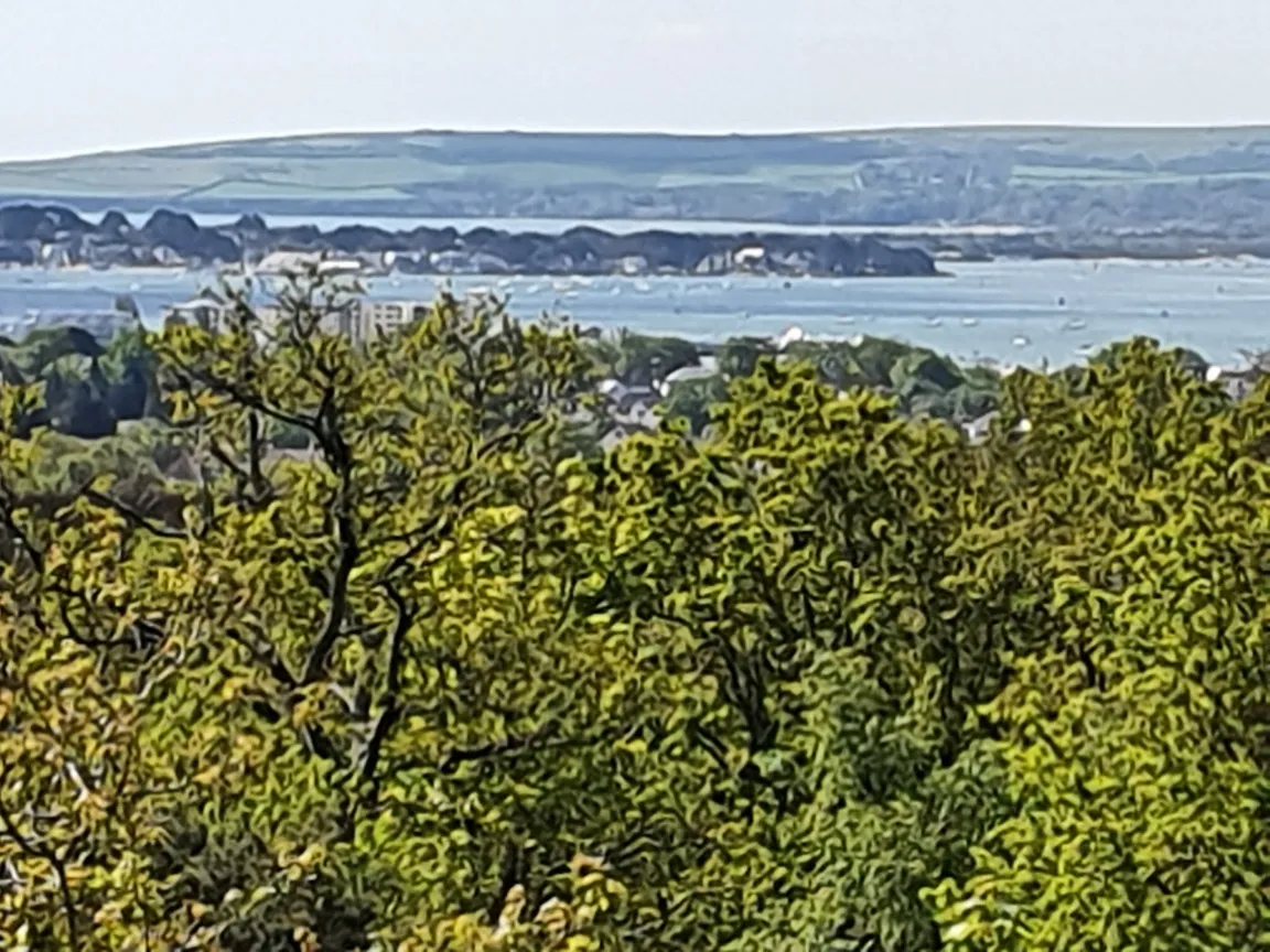 Constitution Hill Viewpoint