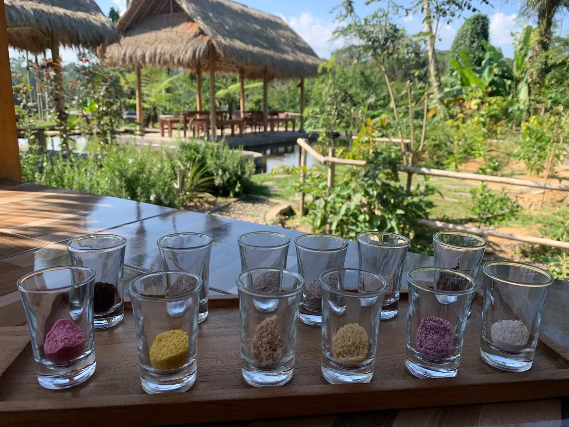 Petani Bali Luwak coffee
